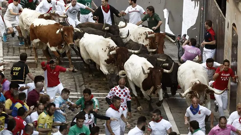 Los toros de la ganadería de Jandilla