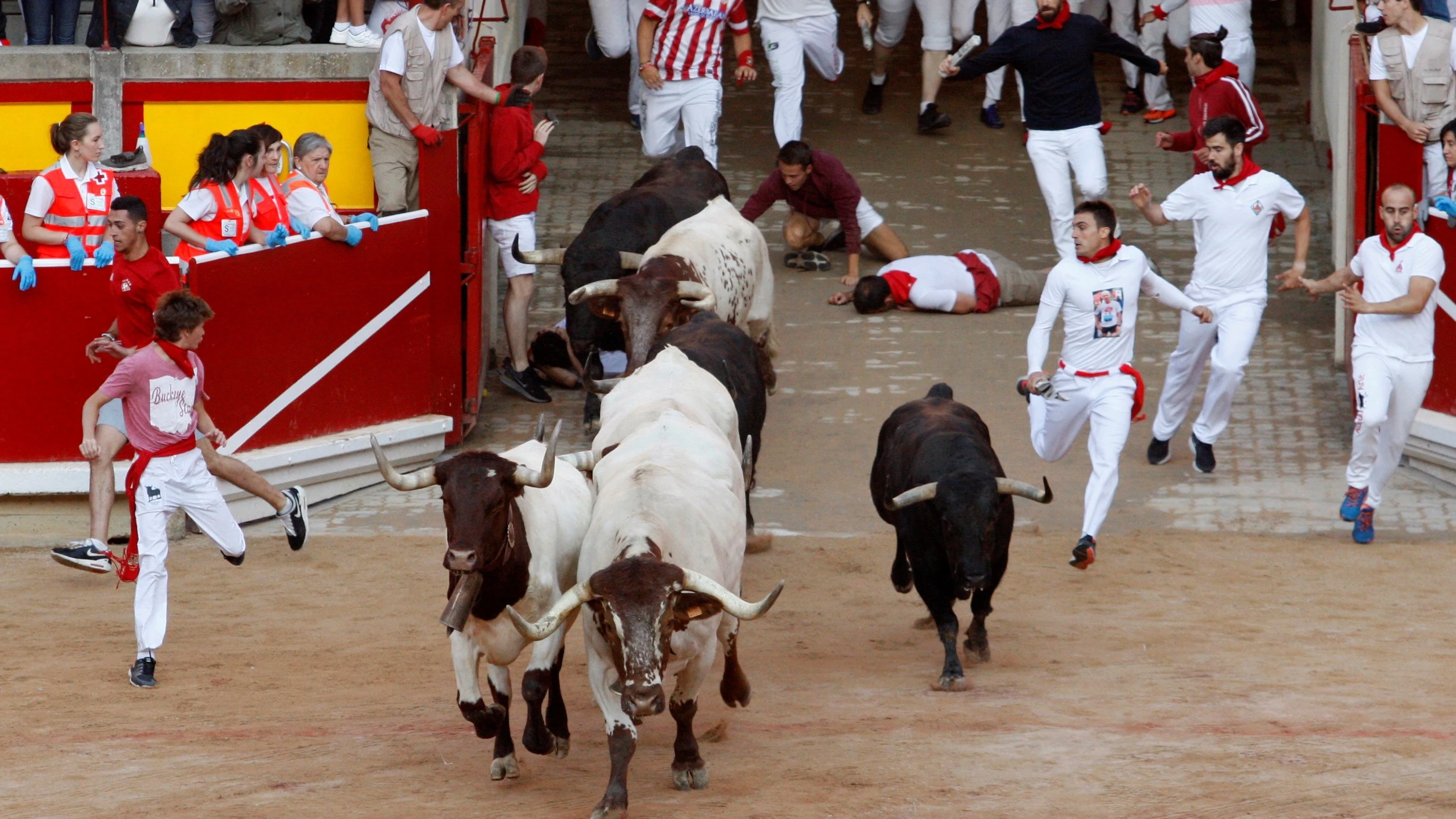 Imagen del cuarto encierro de San Fermín a su llegada a la plaza