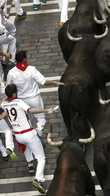 Los toros de la ganadería de Jandilla en el cuarto encierro de San Fermín Los toros de la ganadería de Jandilla en el cuarto encierro de San Fermín