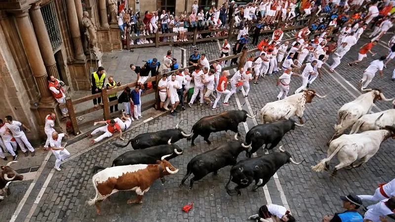 Los toros de la ganadería de Jandilla en el cuarto encierro de San Fermín