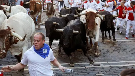 Los toros de la ganadería de Jandilla en el cuarto encierro de San Fermín Los toros de la ganadería de Jandilla en el cuarto encierro de San Fermín