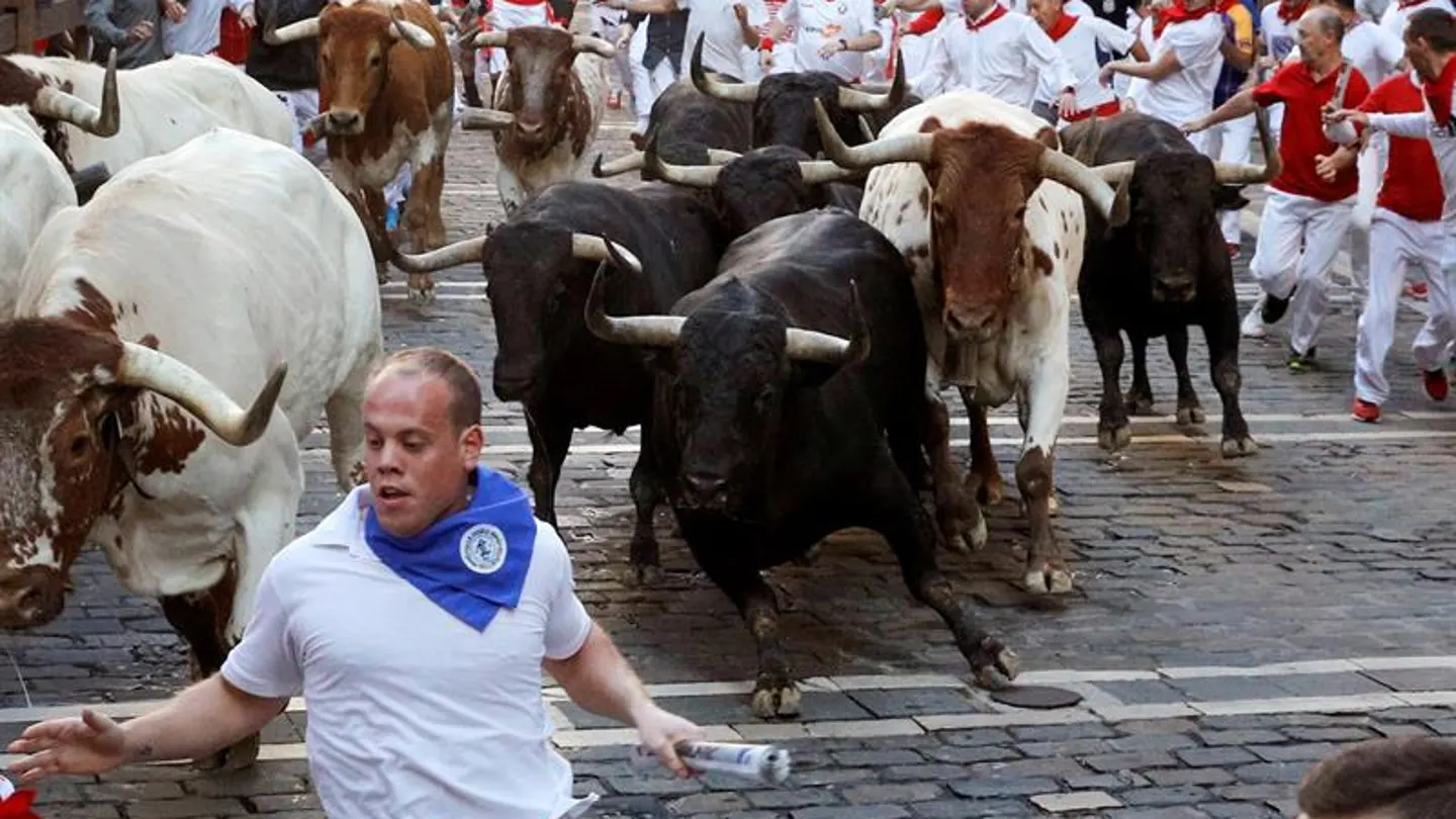 Los toros de la ganadería de Jandilla en el cuarto encierro de San Fermín Los toros de la ganadería de Jandilla en el cuarto encierro de San Fermín
