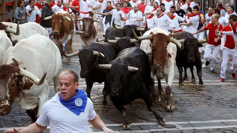 Los toros de la ganadería de Jandilla en el cuarto encierro de San Fermín