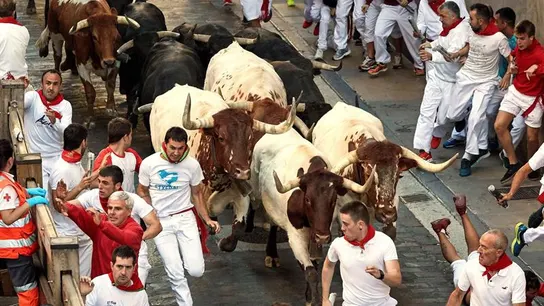 Los toros de la ganadería de Jandilla en el cuarto encierro de San Fermín Los toros de la ganadería de Jandilla en el cuarto encierro de San Fermín