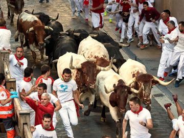 Los toros de la ganadería de Jandilla en el cuarto encierro de San Fermín Los toros de la ganadería de Jandilla en el cuarto encierro de San Fermín