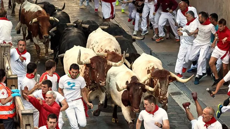 Los toros de la ganadería de Jandilla en el cuarto encierro de San Fermín