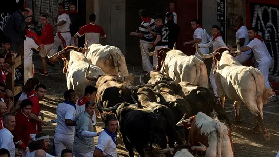 Los toros de la ganadería de Jandilla en el cuarto encierro de San Fermín Los toros de la ganadería de Jandilla en el cuarto encierro de San Fermín