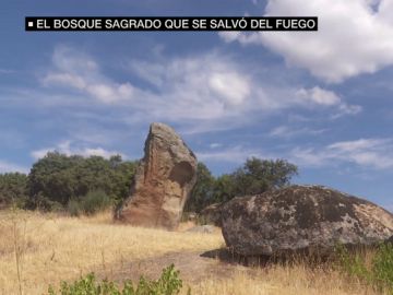 El bosque sagrado de Cenicientos sobrevive a los incendios: fue un lugar de culto para celtas y romanos El bosque sagrado de Cenicientos sobrevive a los incendios: fue un lugar de culto para celtas y romanos