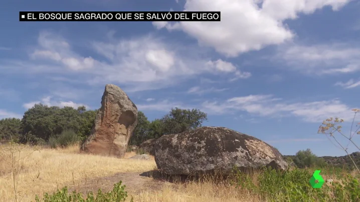 El bosque sagrado de Cenicientos sobrevive a los incendios: fue un lugar de culto para celtas y romanos