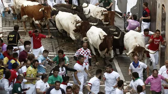 Los toros de la ganadería de Jandilla en el cuarto encierro de San Fermín Los toros de la ganadería de Jandilla en el cuarto encierro de San Fermín