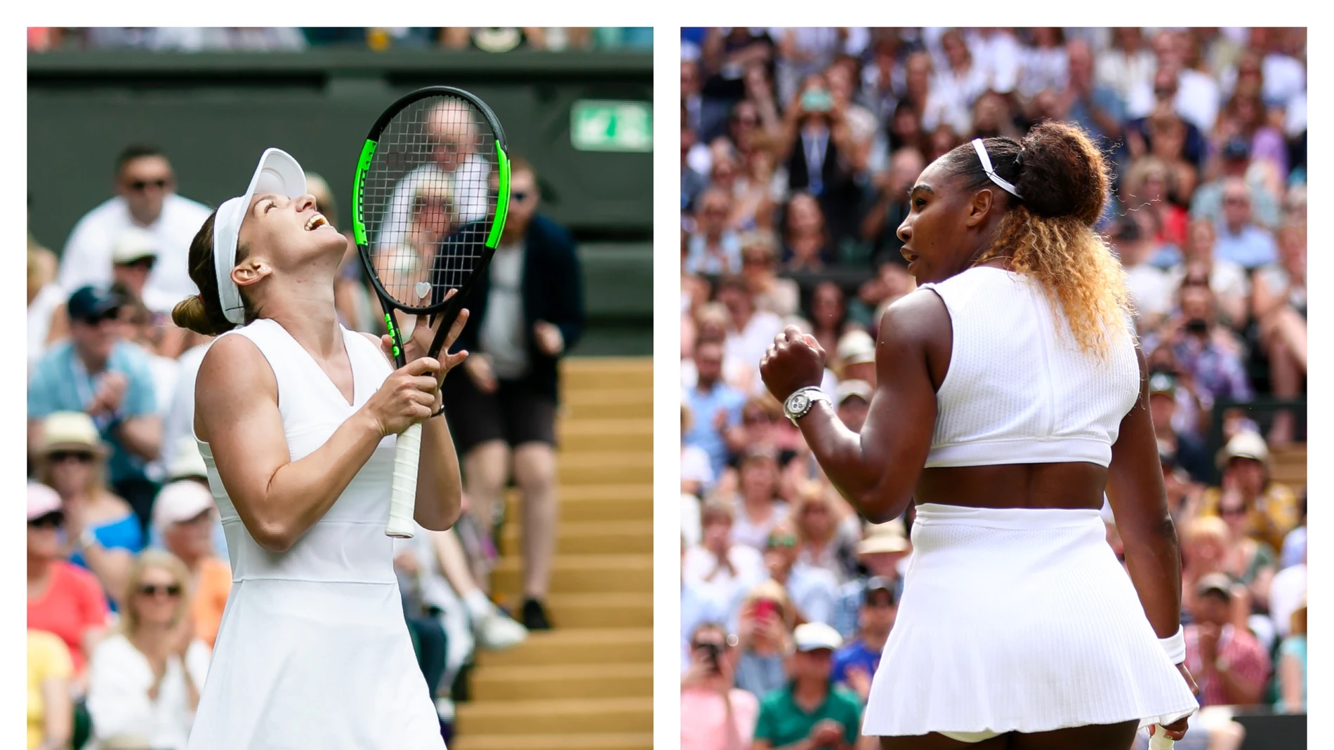 Simona Halep y Serena Williams