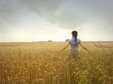 La vida en el campo sin redes sociales La vida en el campo sin redes sociales