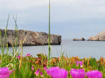 Grecia Grecia