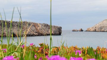Grecia