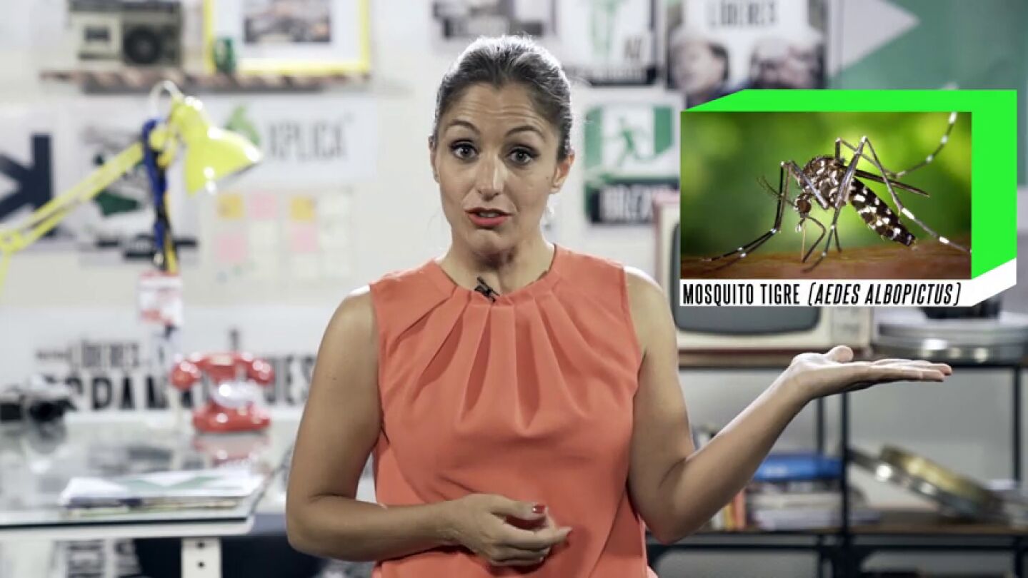 Mosquito tigre: qu&eacute; hacer si te pica y c&oacute;mo identificarlo
