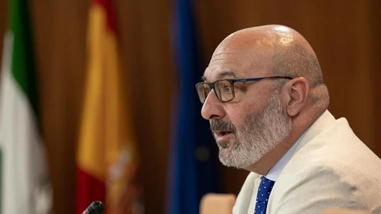 El portavoz de Vox en Andalucía, Alejandro Hernández El portavoz de Vox en Andalucía, Alejandro Hernández