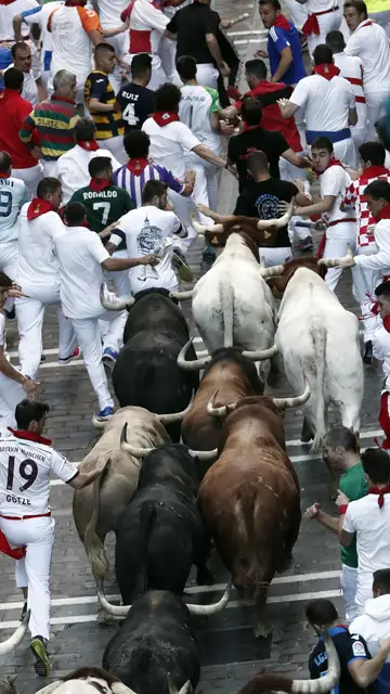Los toros de la ganadería de Núñez del Cuvillo, durante el sexto encierro de los Sanfermines 2019 Los toros de la ganadería de Núñez del Cuvillo, durante el sexto encierro de los Sanfermines 2019
