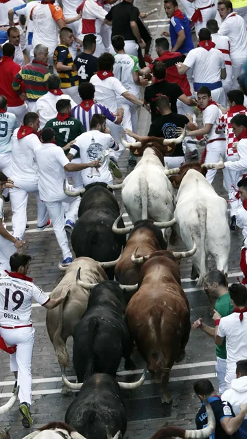 Los toros de la ganadería de Núñez del Cuvillo, durante el sexto encierro de los Sanfermines 2019