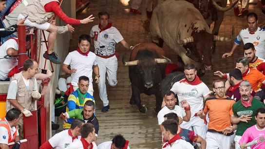 Los toros de la ganadería de Núñez del Cuvillo, durante el sexto encierro de los Sanfermines 2019 Los toros de la ganadería de Núñez del Cuvillo, durante el sexto encierro de los Sanfermines 2019