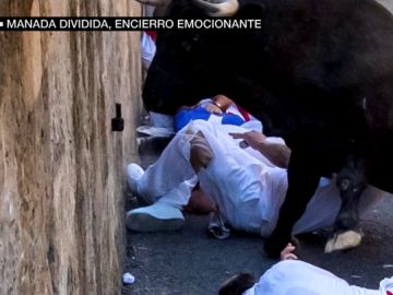 Cornada en el sexto encierro de San Fermín 2019 Cornada en el sexto encierro de San Fermín 2019