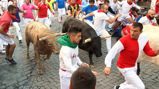 Los toros de la ganadería de Núñez del Cuvillo, durante el sexto encierro de los Sanfermines 2019 Los toros de la ganadería de Núñez del Cuvillo, durante el sexto encierro de los Sanfermines 2019