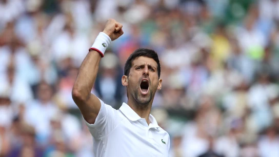 Djokovic celebra un punto contra Bautista Djokovic celebra un punto contra Bautista