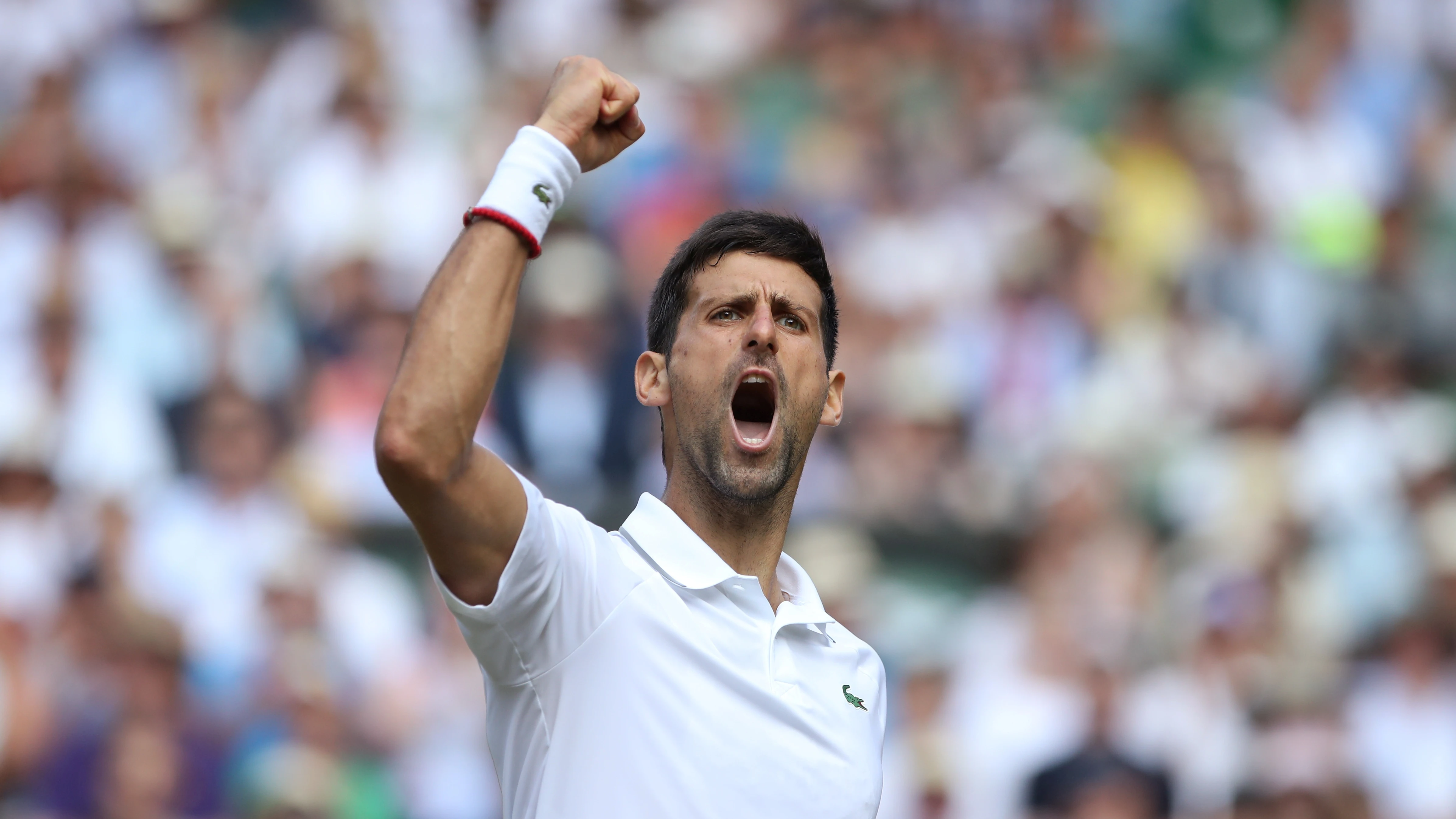 Djokovic celebra un punto contra Bautista