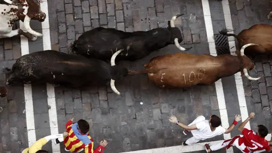Los toros de la ganadería de Núñez del Cuvillo, durante el sexto encierro de los Sanfermines 2019 Los toros de la ganadería de Núñez del Cuvillo, durante el sexto encierro de los Sanfermines 2019