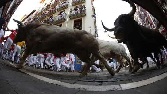 Los toros de la ganadería de Núñez del Cuvillo, durante el sexto encierro de los Sanfermines 2019 Los toros de la ganadería de Núñez del Cuvillo, durante el sexto encierro de los Sanfermines 2019