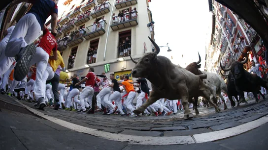 Los toros de la ganadería de Núñez del Cuvillo, durante el sexto encierro de los Sanfermines 2019 Los toros de la ganadería de Núñez del Cuvillo, durante el sexto encierro de los Sanfermines 2019