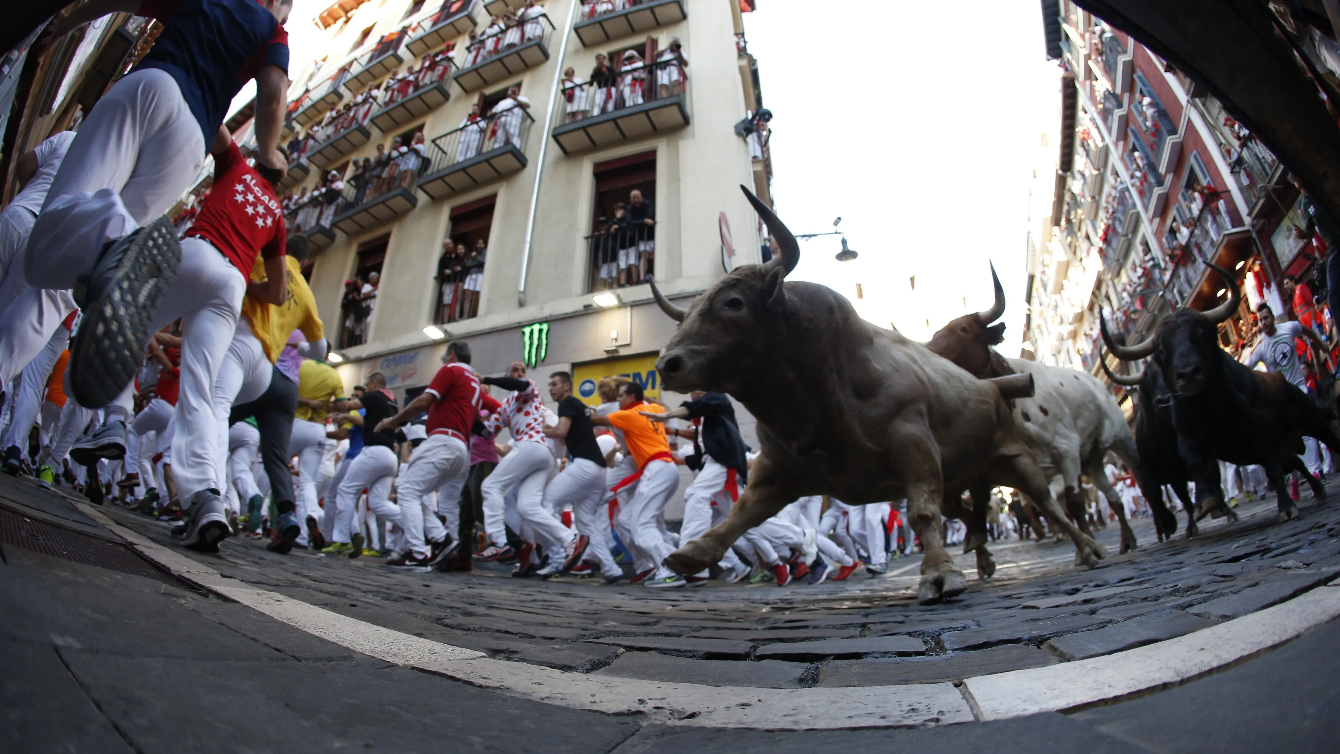 Los toros de la ganadería de Núñez del Cuvillo, durante el sexto encierro de los Sanfermines 2019