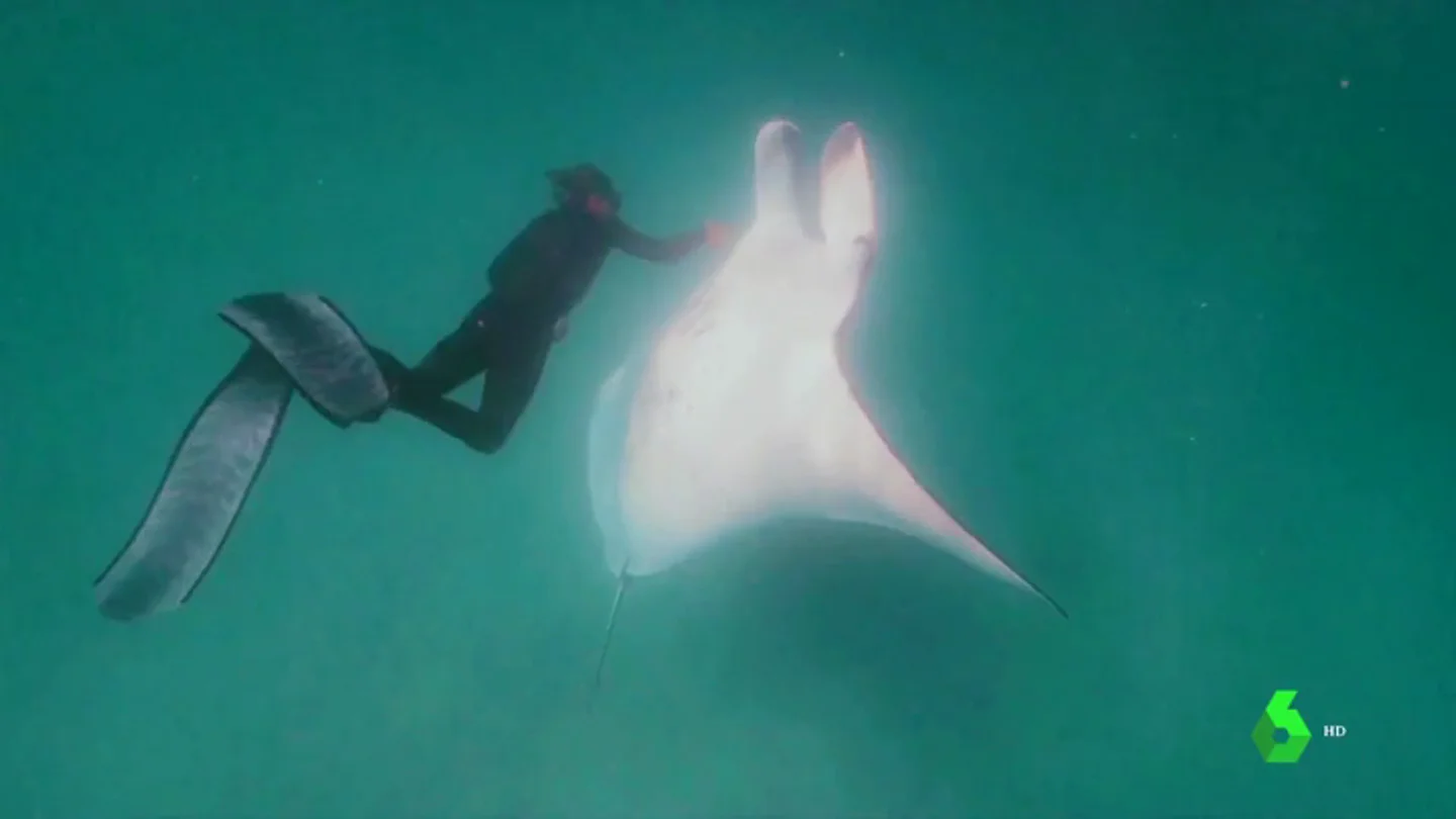 mantaraya mantaraya