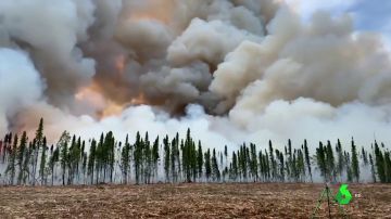Incendios en Siberia y Alaska