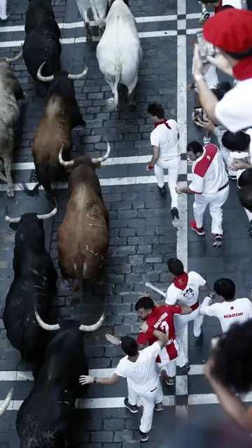 Los toros de la ganadería de Núñez del Cuvillo, durante el sexto encierro de los Sanfermines 2019 Los toros de la ganadería de Núñez del Cuvillo, durante el sexto encierro de los Sanfermines 2019