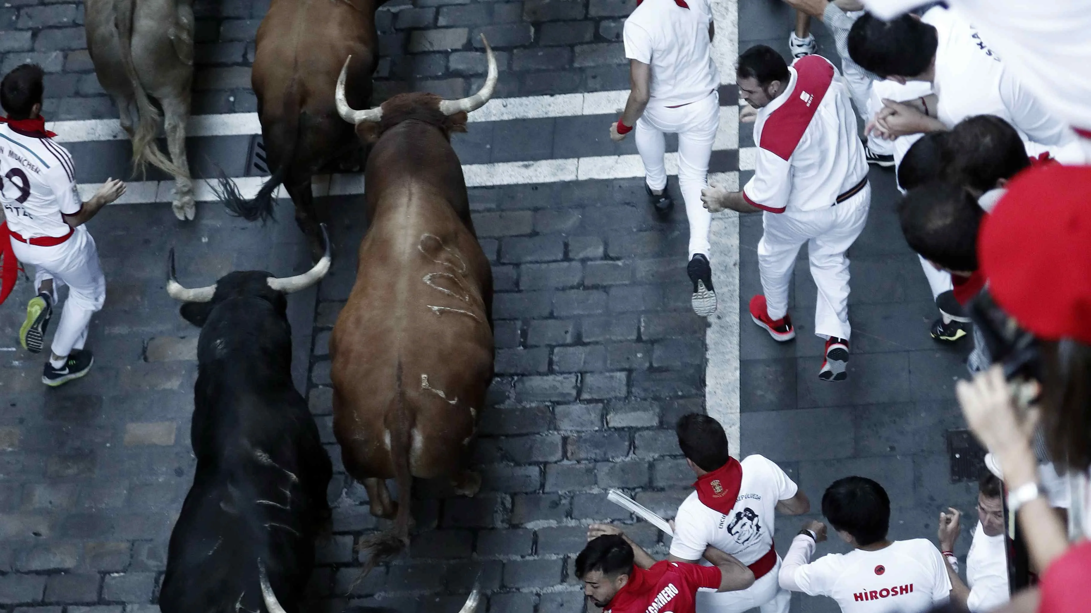 Los toros de la ganadería de Núñez del Cuvillo, durante el sexto encierro de los Sanfermines 2019