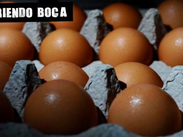 Podemos encontrar salmonella en muchos alimentos Podemos encontrar salmonella en muchos alimentos