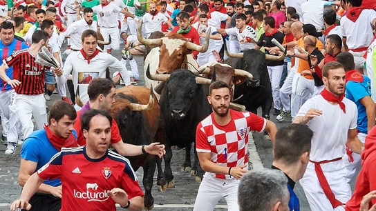 La Palmosilla debuta en Sanfermines con un encierro veloz y limpio La Palmosilla debuta en Sanfermines con un encierro veloz y limpio