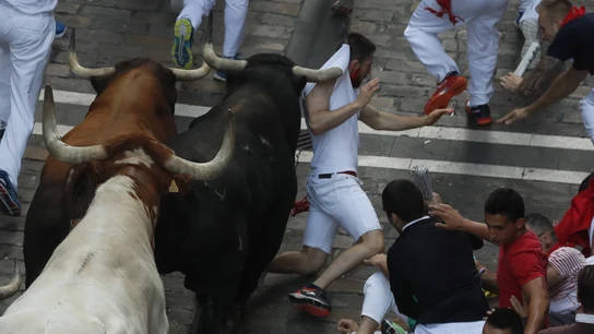 Los toros de la ganadería de La Palmosilla, de Tarifa. Los toros de la ganadería de La Palmosilla, de Tarifa.