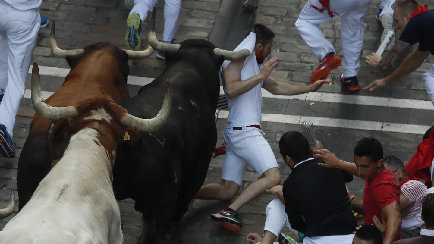 Los toros de la ganadería de La Palmosilla, de Tarifa. Los toros de la ganadería de La Palmosilla, de Tarifa.