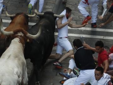 Los toros de la ganadería de La Palmosilla, de Tarifa Los toros de la ganadería de La Palmosilla, de Tarifa