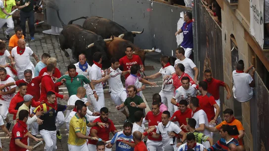 Séptimo encierro de los Sanfermines 2019, con toros de La Palmosilla, de Tarifa (Cádiz) Séptimo encierro de los Sanfermines 2019, con toros de La Palmosilla, de Tarifa (Cádiz)