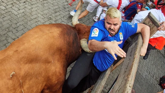 Los toros de la ganadería sevillana de Miura Los toros de la ganadería sevillana de Miura