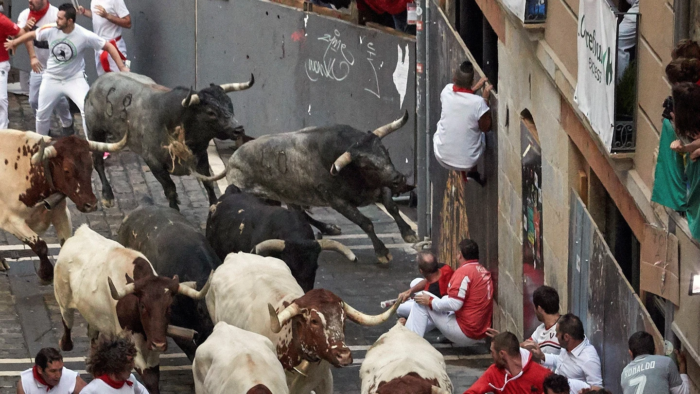 Octavo encierro de San Fermín 2019 Octavo encierro de San Fermín 2019