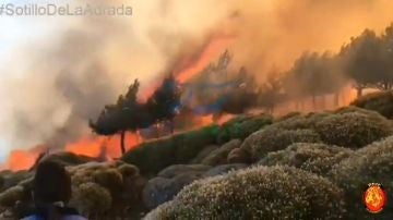 El incendio declarado este sábado en Sotillo de la Adrada, en Ávila