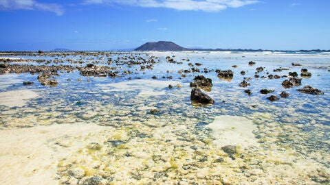 Playas de Corralejo