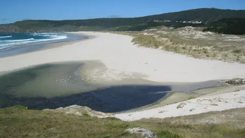 Praia do Rostro Praia do Rostro