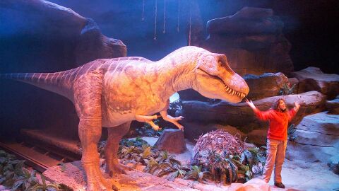 T-Rex Show