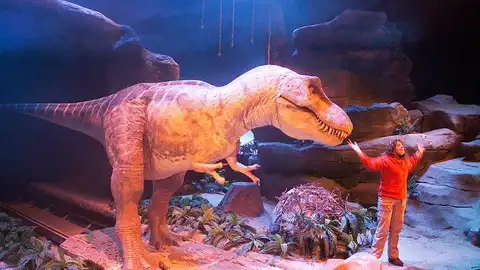 T-Rex Show T-Rex Show