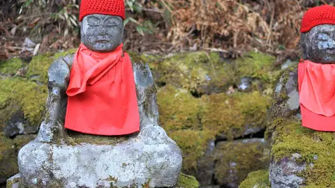 Nikko Nikko
