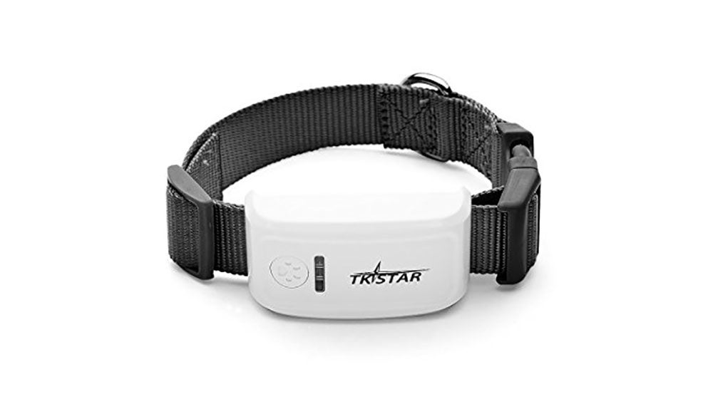 Collar localizador